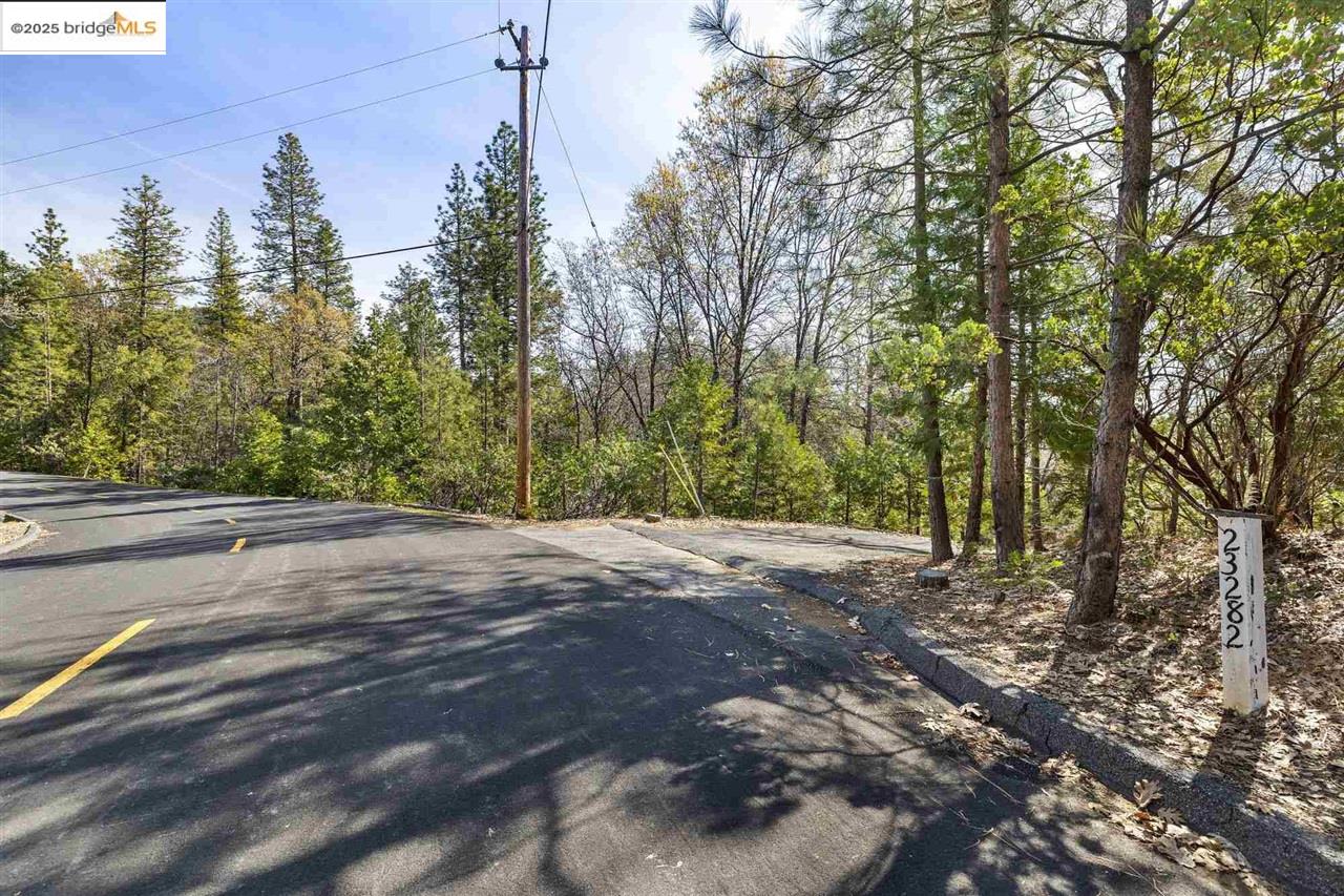 23282 Comstock Ranch Road Sonora, CA 95370 - Photo 2 of 19 a view of a yard with a tree