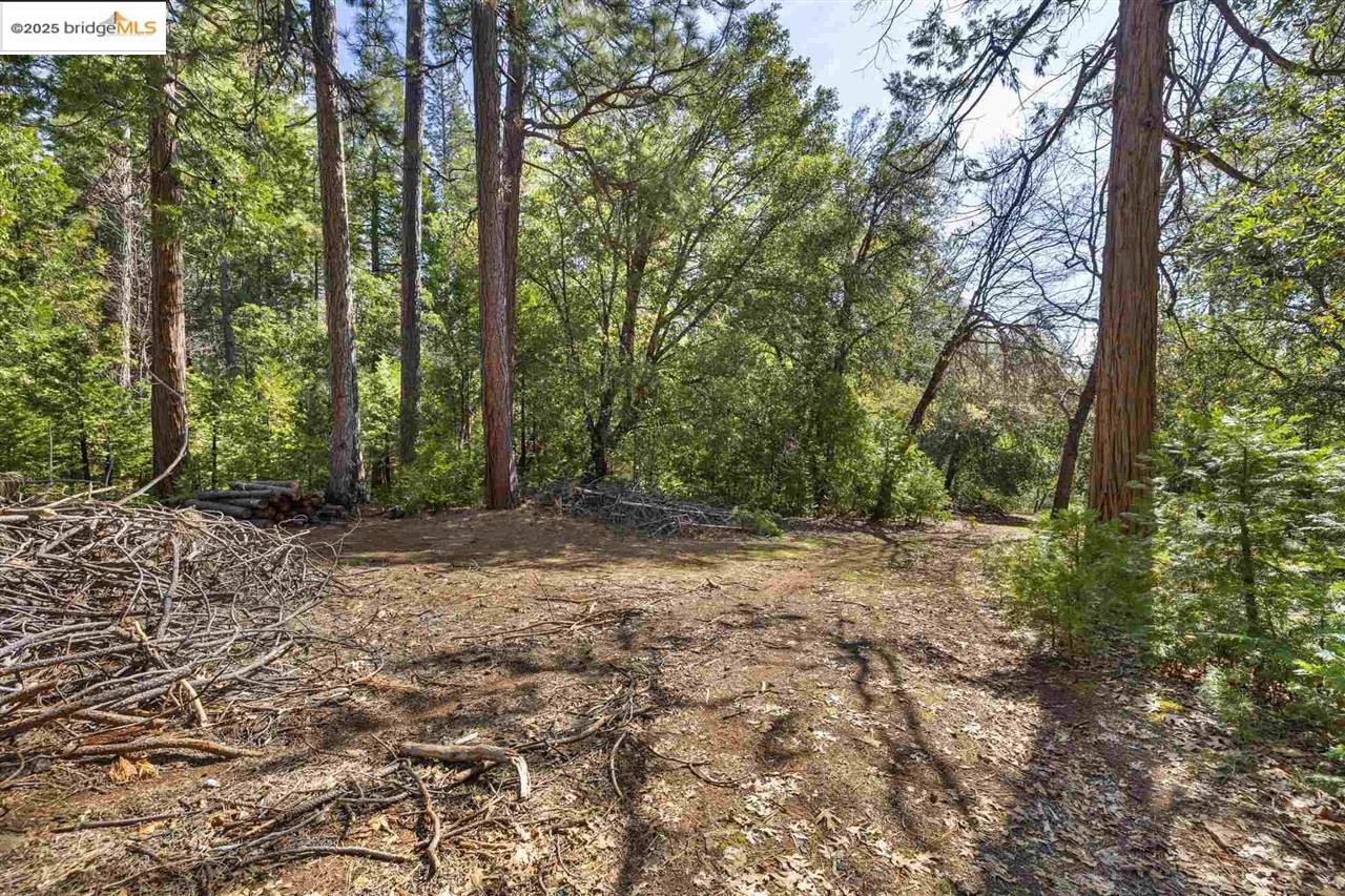 23282 Comstock Ranch Road Sonora, CA 95370 - Photo 3 of 19 a view of outdoor space with trees