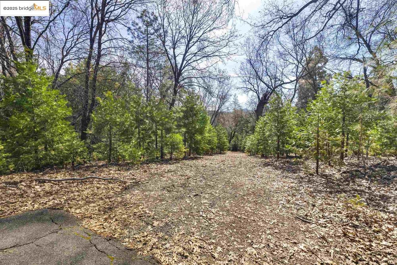 23282 Comstock Ranch Road Sonora, CA 95370 - Photo 4 of 19 a wooden bench with a trees in the background