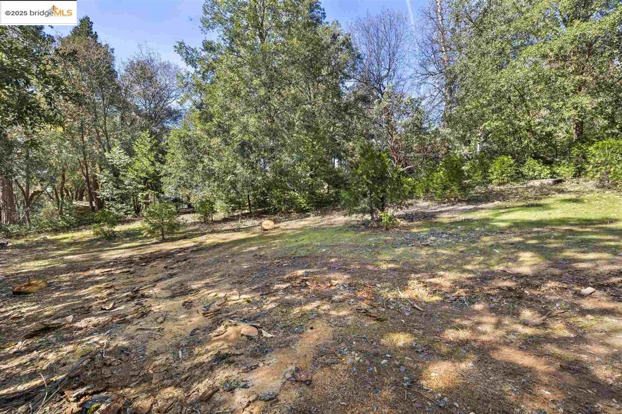 23282 Comstock Ranch Road Sonora, CA 95370 - Photo 5 of 19 a view of outdoor space with trees