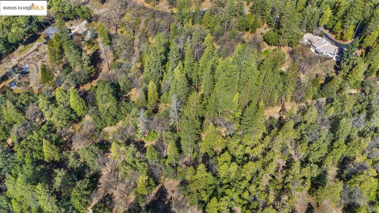 23282 Comstock Ranch Road Sonora, CA 95370 - Photo 6 of 19 a view of a lush green forest with a tree