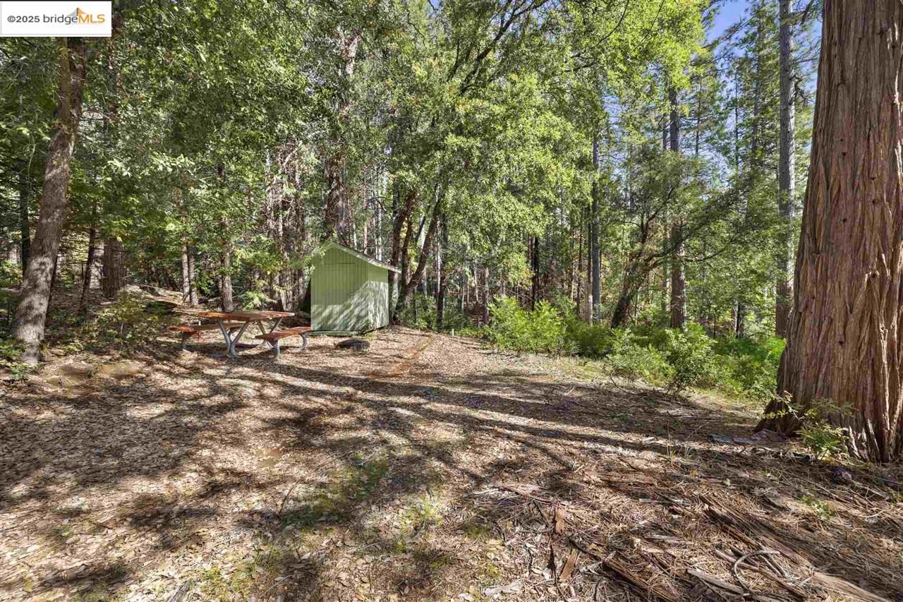23282 Comstock Ranch Road Sonora, CA 95370 - Photo 9 of 19 a view of outdoor space and yard