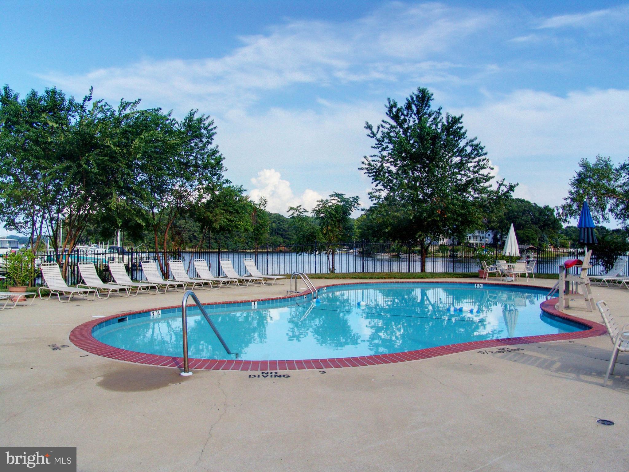 710 South River Landing Road Edgewater, MD 21037 - Photo 2 of 55 Community in-ground pool