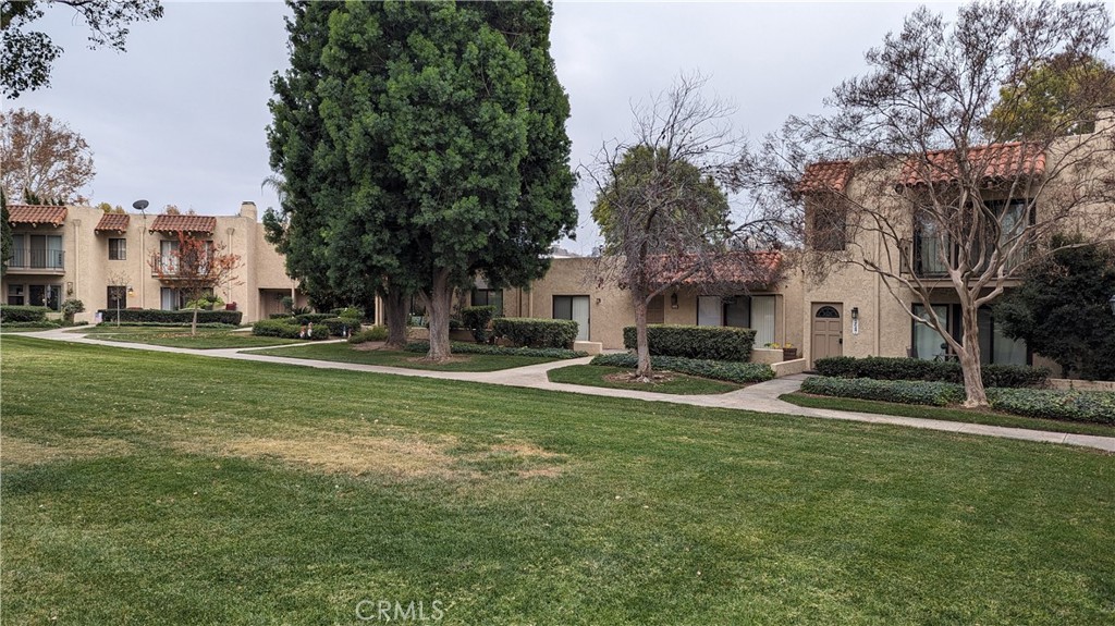 2645 Cortina Drive Riverside, CA 92506 - Photo 13 of 17 a view of a house with a big yard and large trees