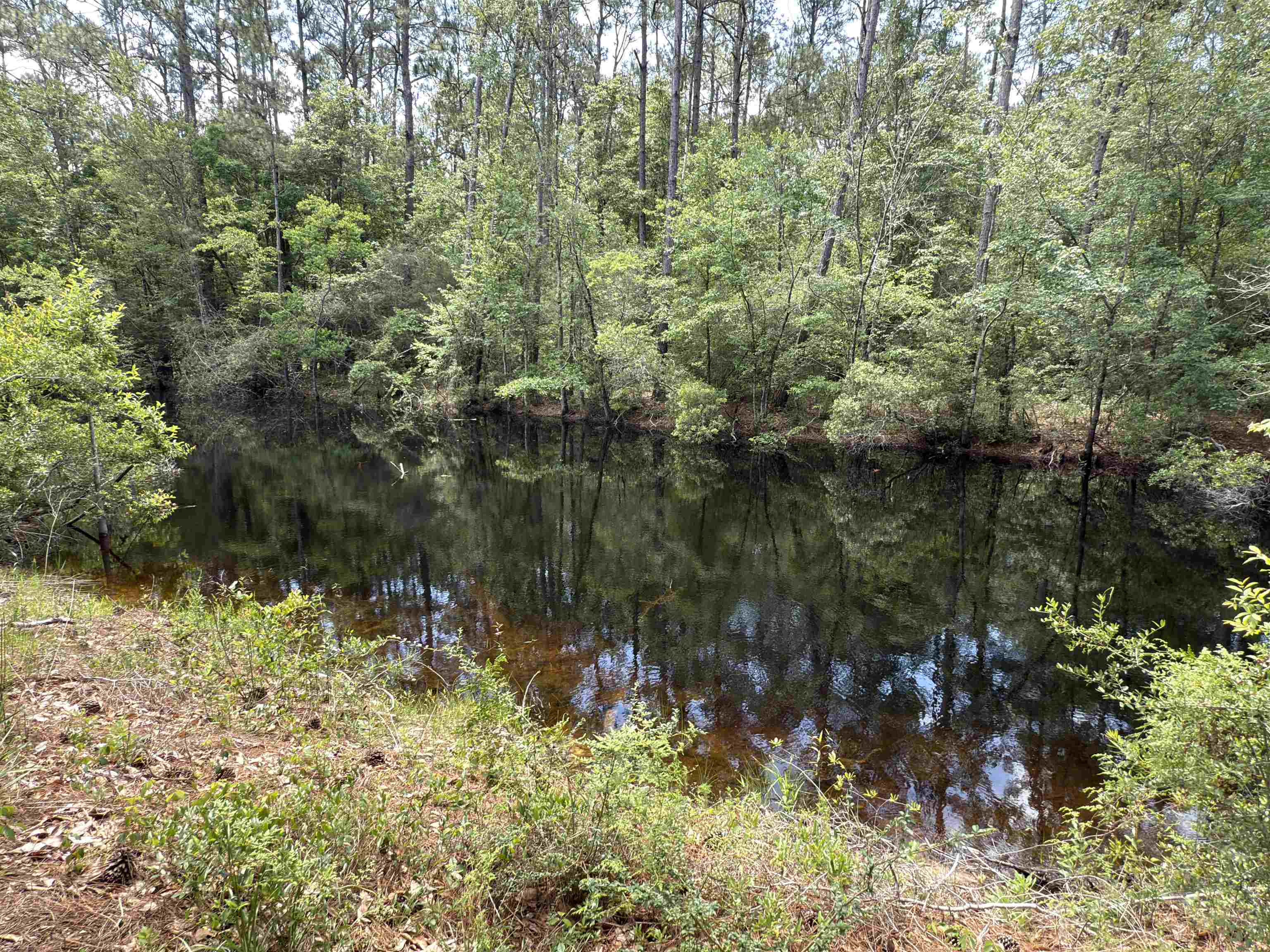 87 County Road 87 Elberta, AL 36530 - Photo 39 of 66