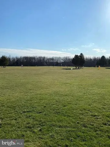 a view of an ocean from a yard