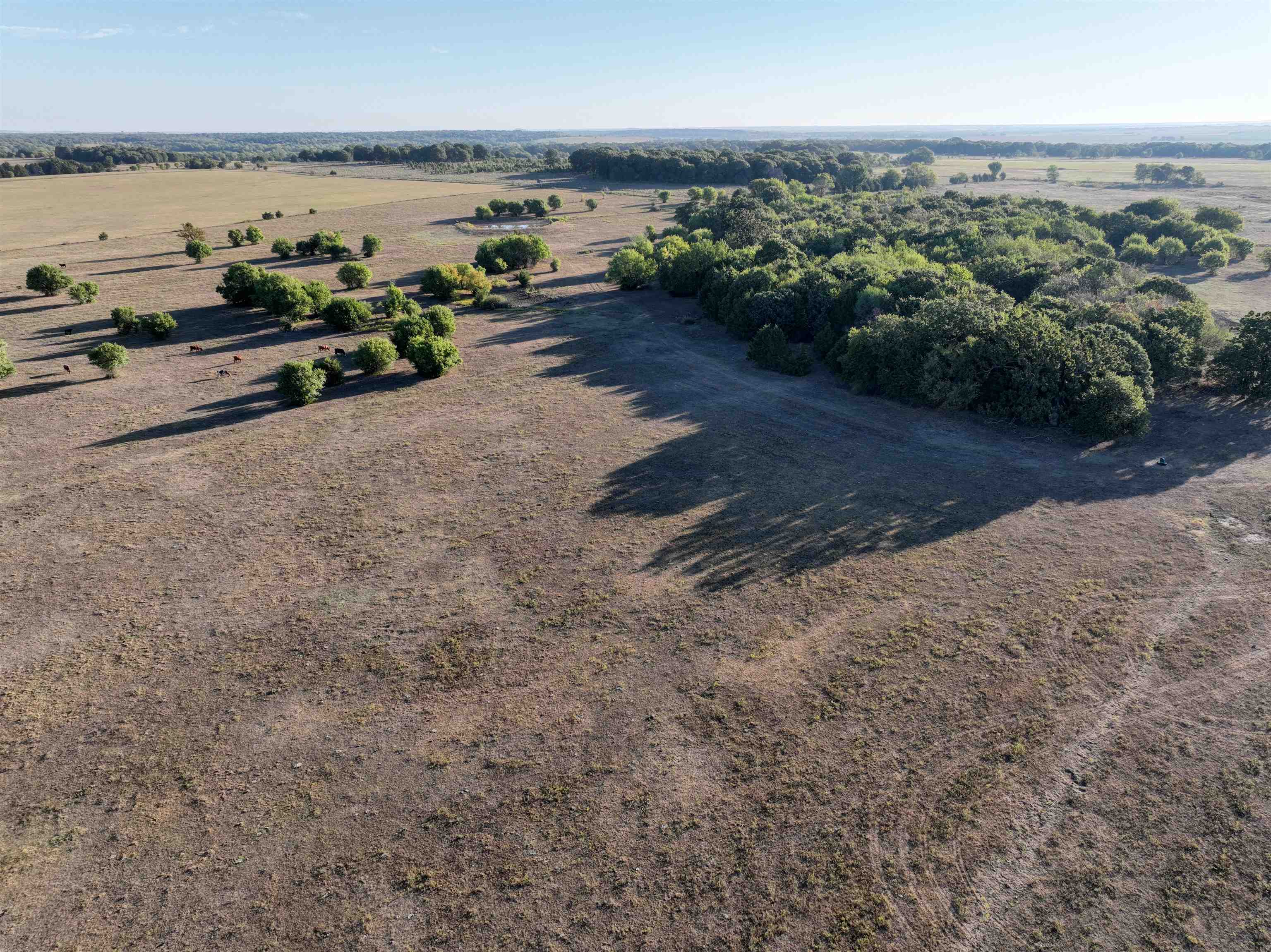 0 Allen Road Fredonia, KS 66736 - Photo 2 of 10