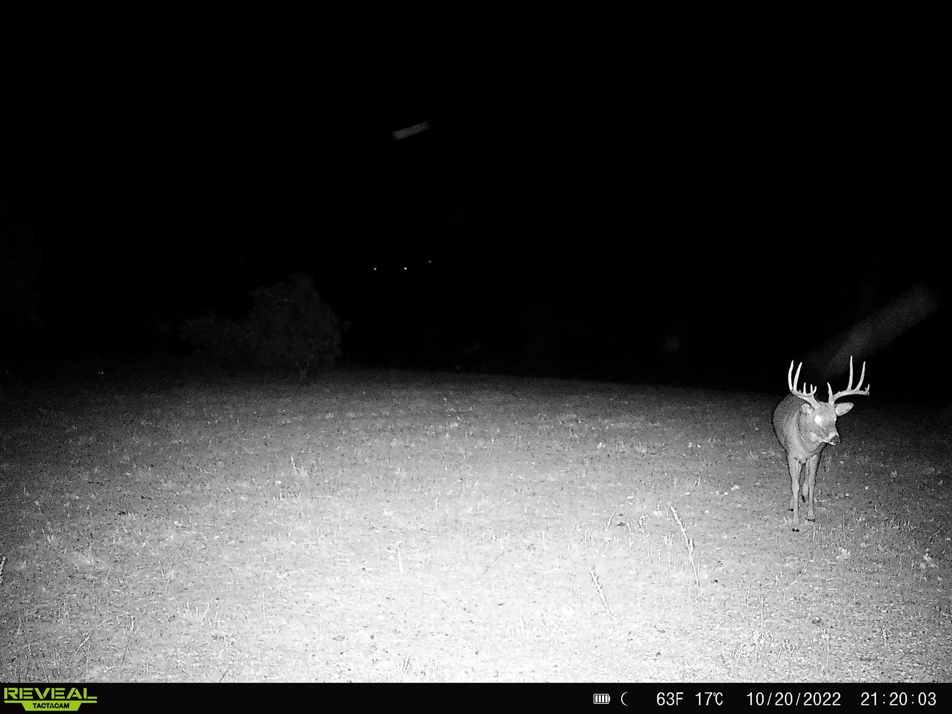 0 Allen Road Fredonia, KS 66736 - Photo 9 of 10