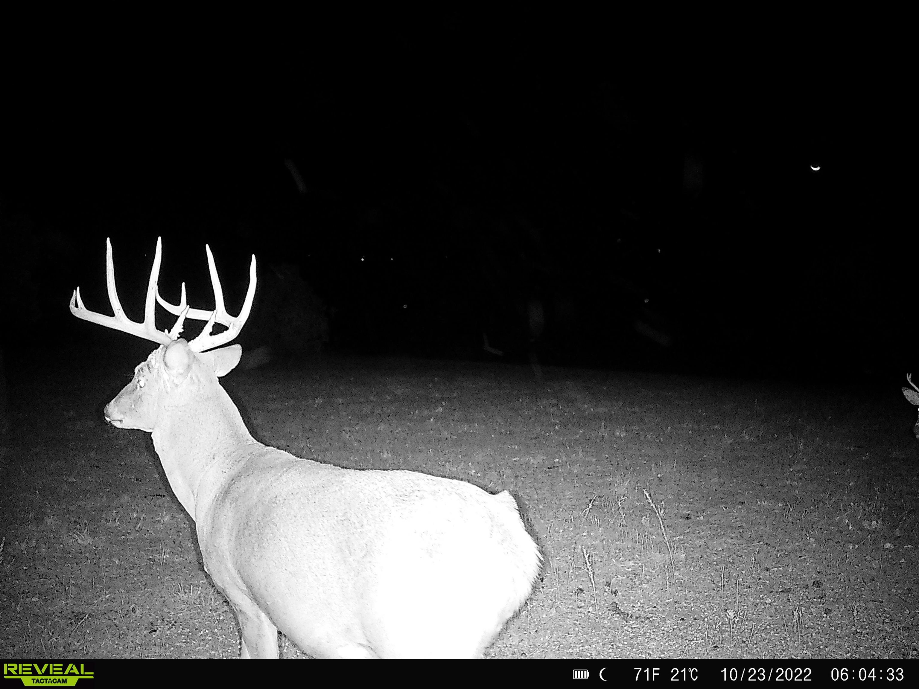 0 Allen Road Fredonia, KS 66736 - Photo 10 of 10