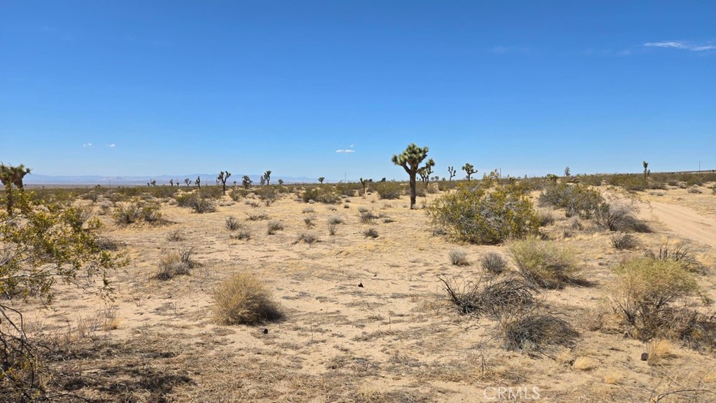 0 147th Street Lancaster, CA 93535 - Photo 14 of 21