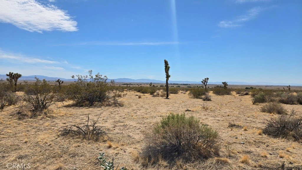 0 147th Street Lancaster, CA 93535 - Photo 2 of 21