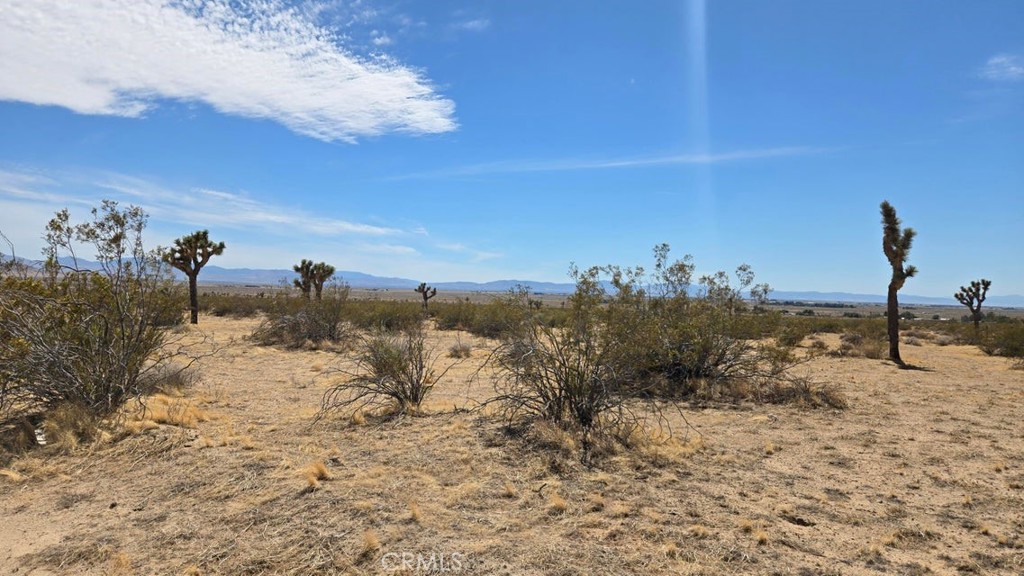 0 147th Street Lancaster, CA 93535 - Photo 3 of 21