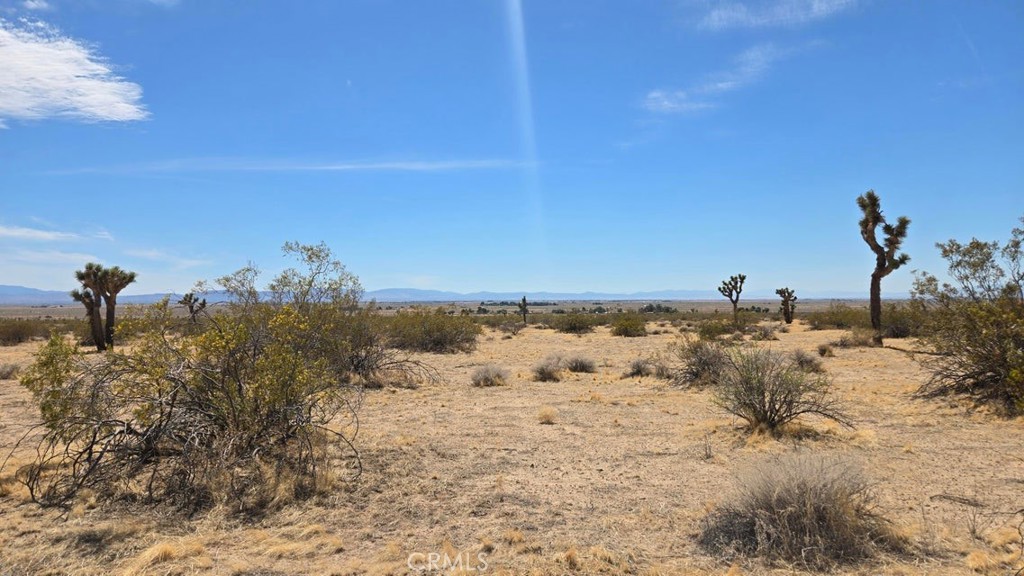 0 147th Street Lancaster, CA 93535 - Photo 4 of 21