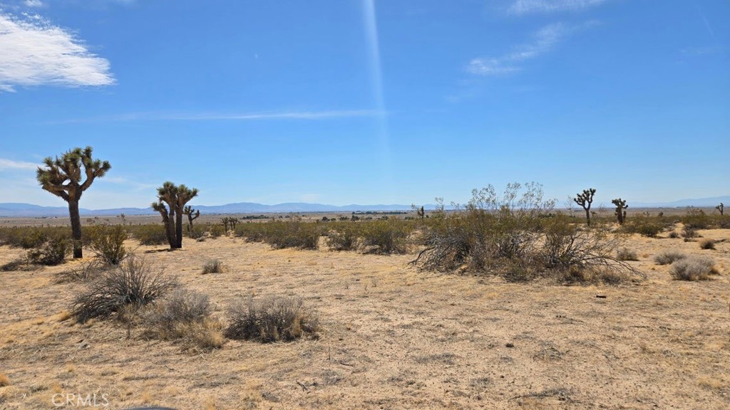 0 147th Street Lancaster, CA 93535 - Photo 5 of 21