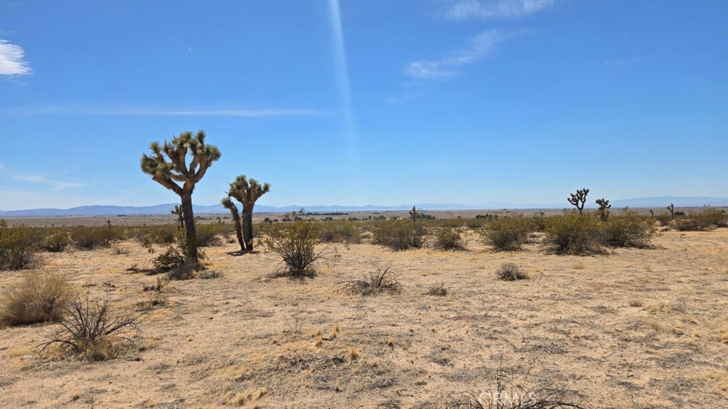 0 147th Street Lancaster, CA 93535 - Photo 6 of 21