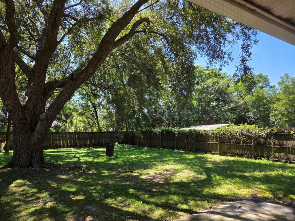 Undisclosed Address Ocala, FL 34472 - Photo 18 of 21 a backyard of a house with lots of green space