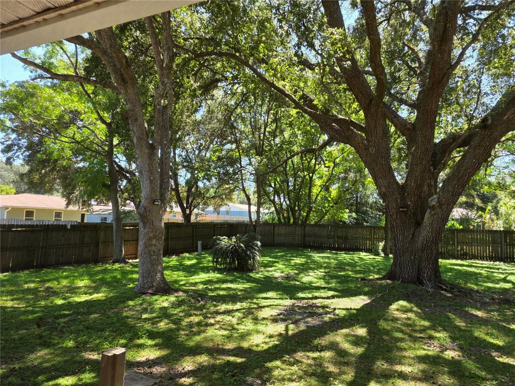 Undisclosed Address Ocala, FL 34472 - Photo 19 of 21 a backyard of a house with lots of green space