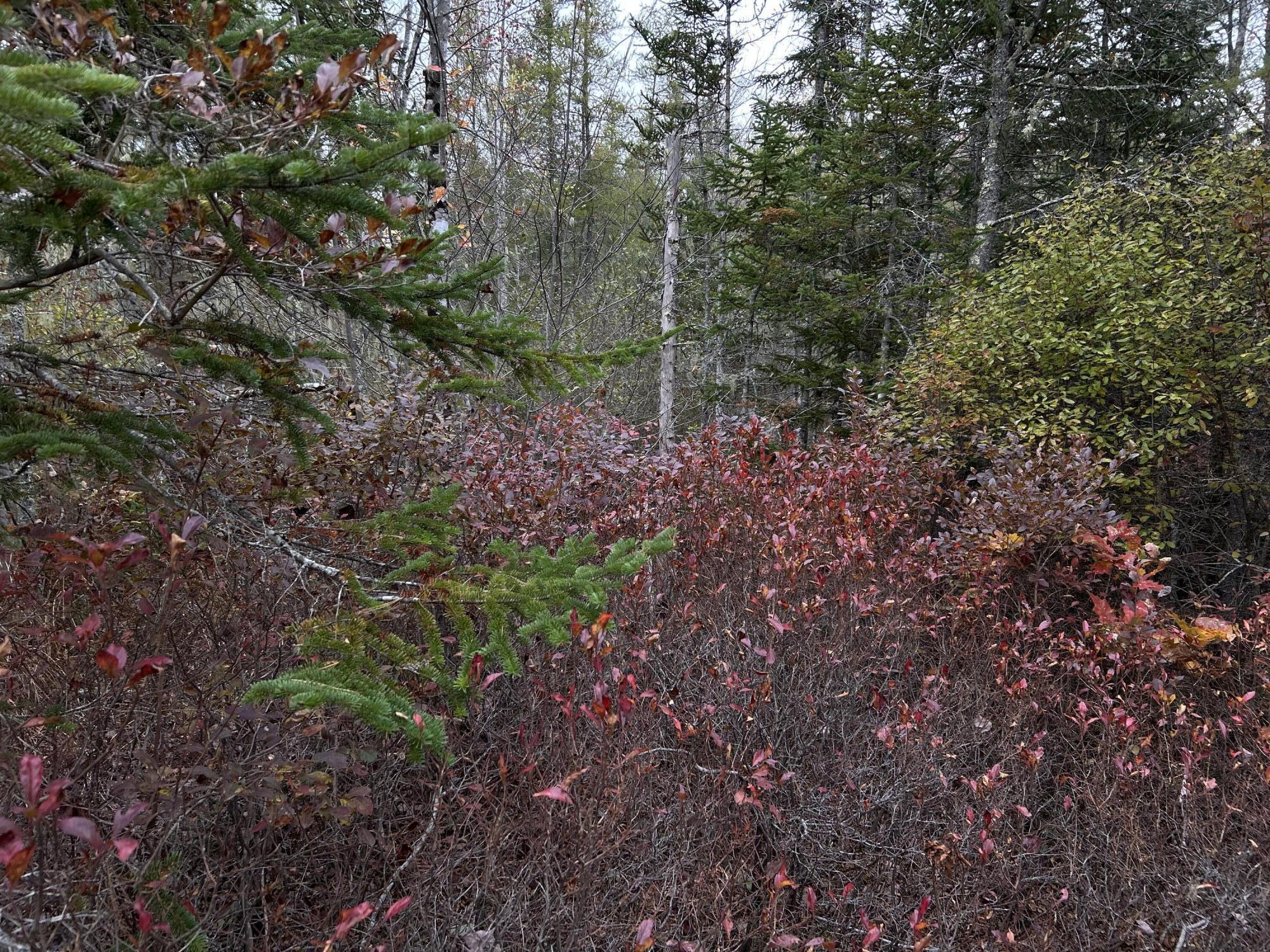 401 Genthner Road Waldoboro, ME 04572 - Photo 24 of 35