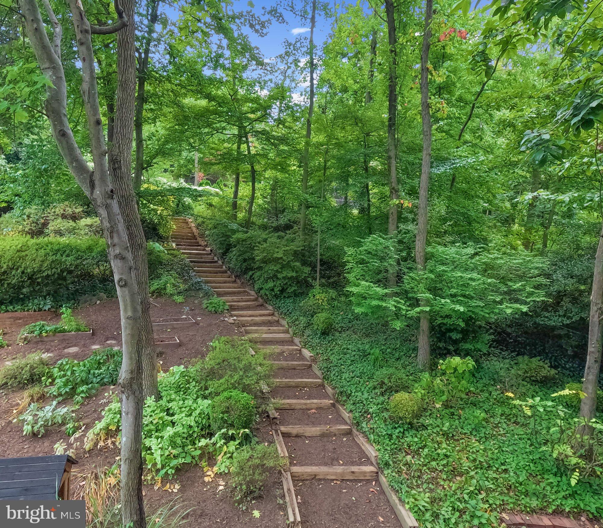 6202 Foxcroft Road Alexandria, VA 22307 - Photo 48 of 54 Lush Landscaping