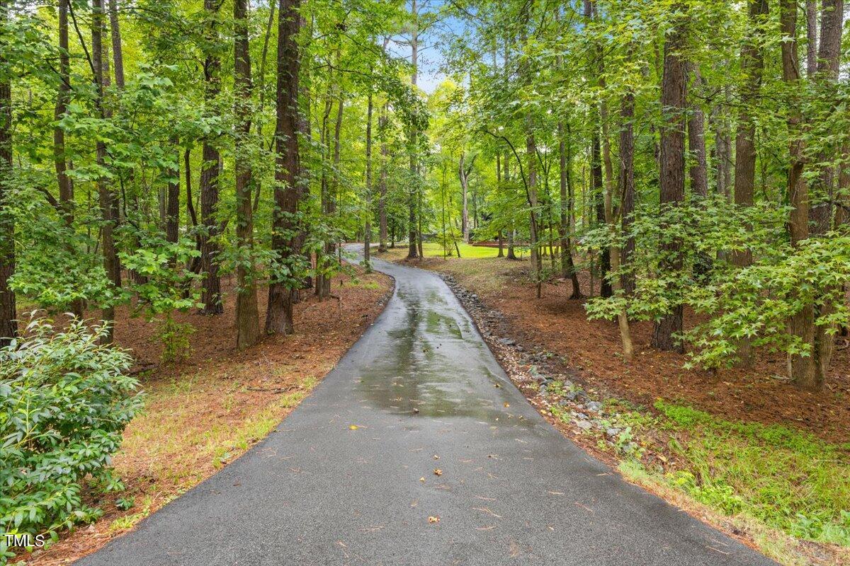 6713 Laurdane Road Raleigh, NC 27613 - Photo 3 of 47 a view of a yard with plants and trees