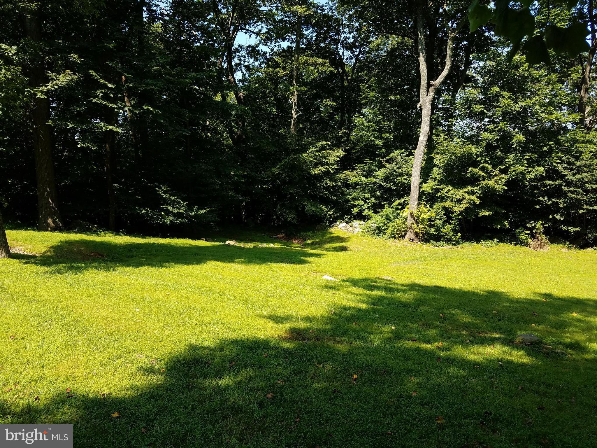 129 Allegheny Road Linden, VA 22642 - Photo 17 of 18 Exterior (Rear)