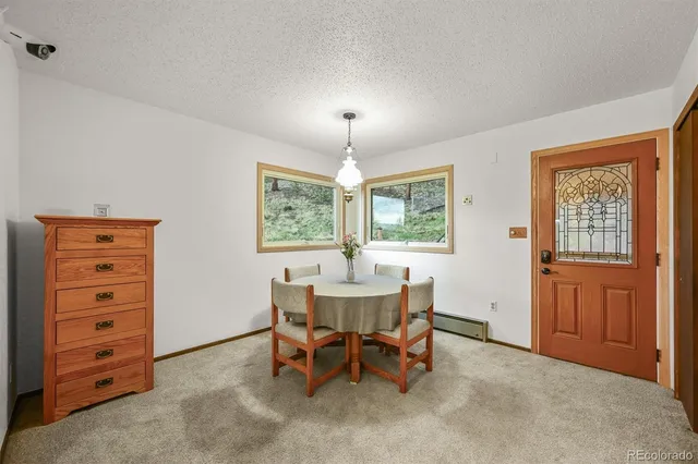 a view of backyard with green space