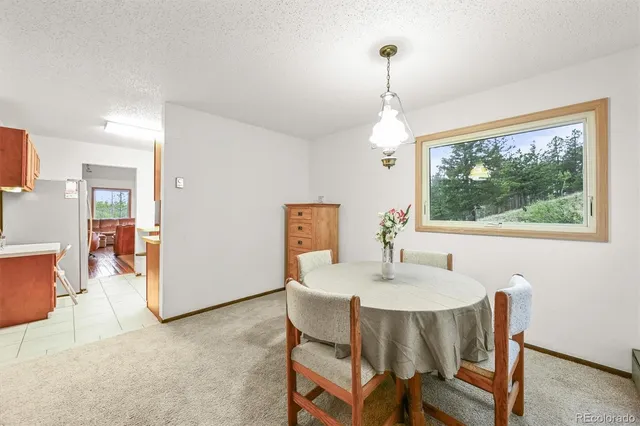 a view of a city with mountain