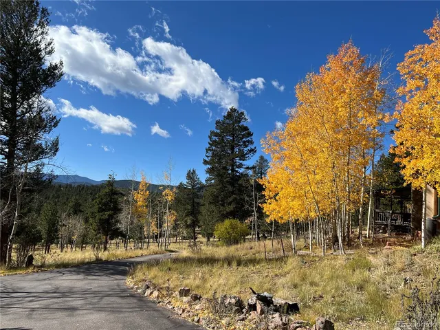 $699,000 | 2169 Vigilante Avenue, Bailey, CO 80421