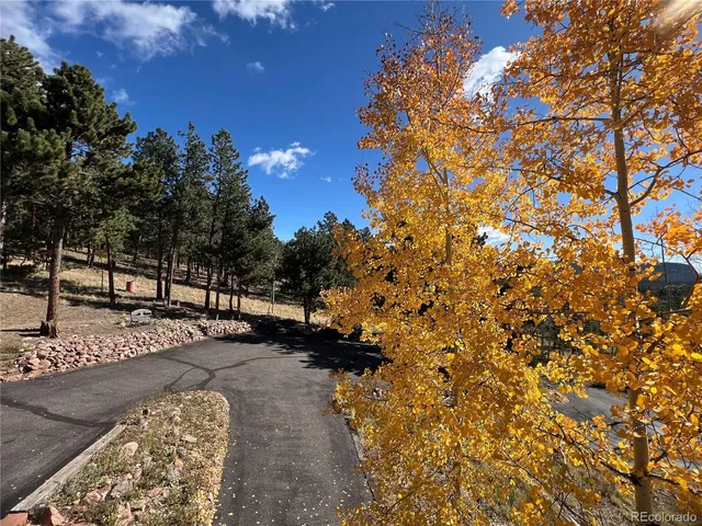 $699,000 | 2169 Vigilante Avenue, Bailey, CO 80421