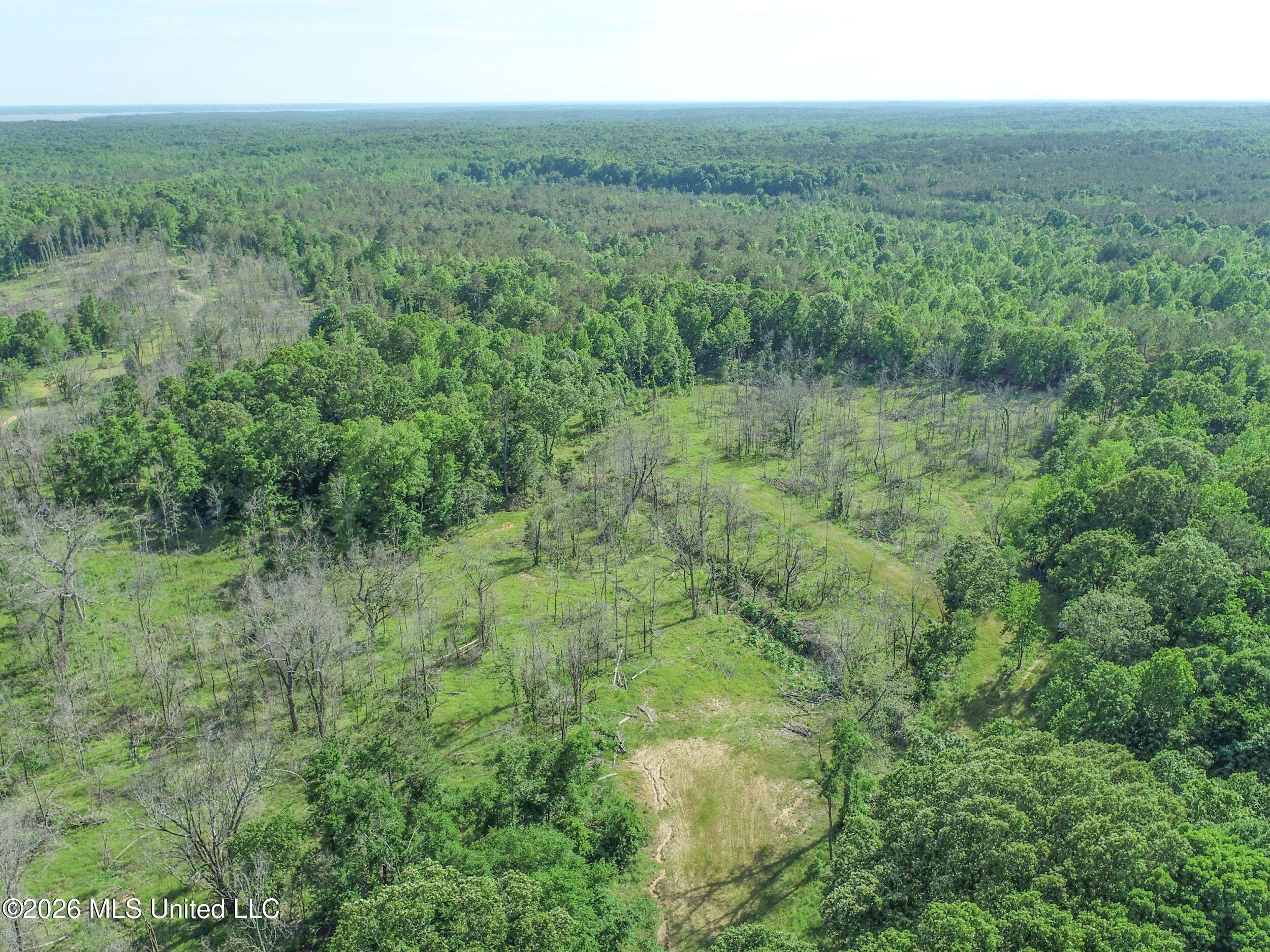 Wayne Massie Road Como, MS 38619 - Photo 22 of 184 3ctwmrd6