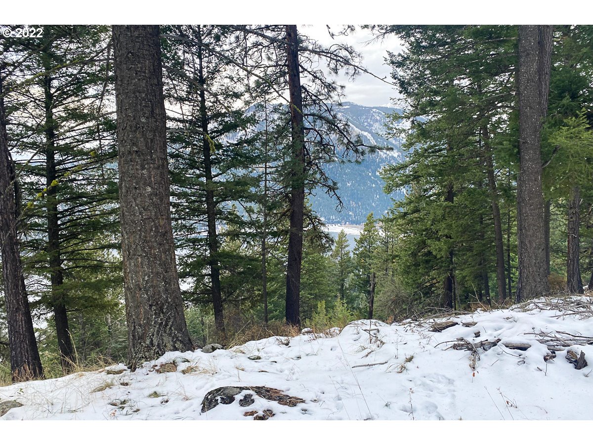 0 Skin Run Road Joseph, OR 97846 - Photo 1 of 3 Gallery Image 1