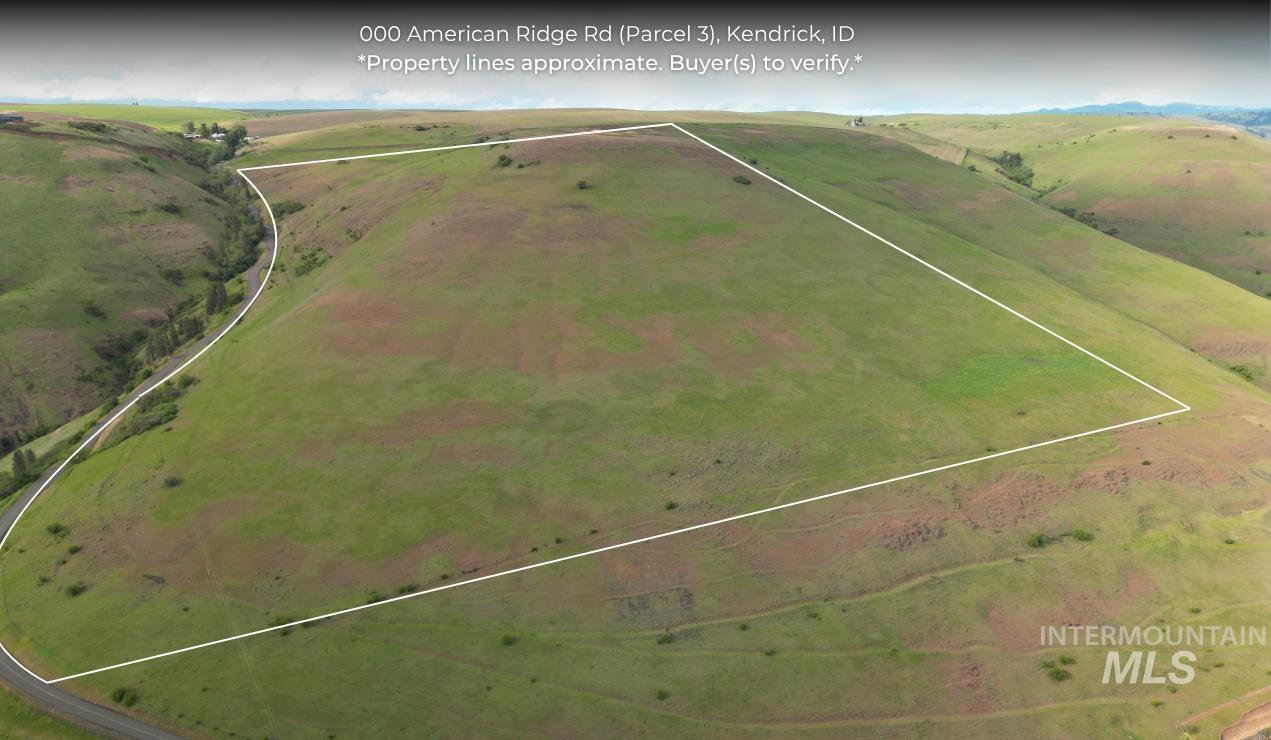 0 American Ridge Road Kendrick, ID 83537 - Photo 1 of 17