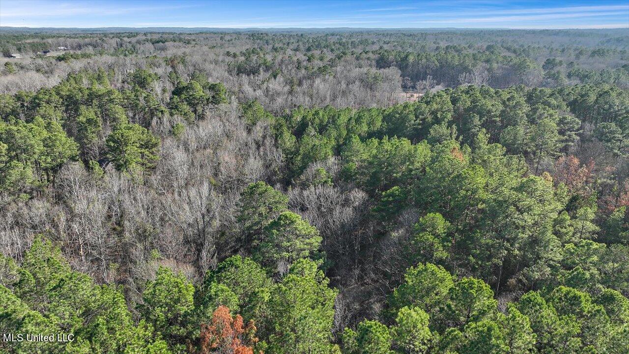 1074 Ridgeside Drive Brandon, MS 39042 - Photo 22 of 30 20-1074 Ridgeside Dr