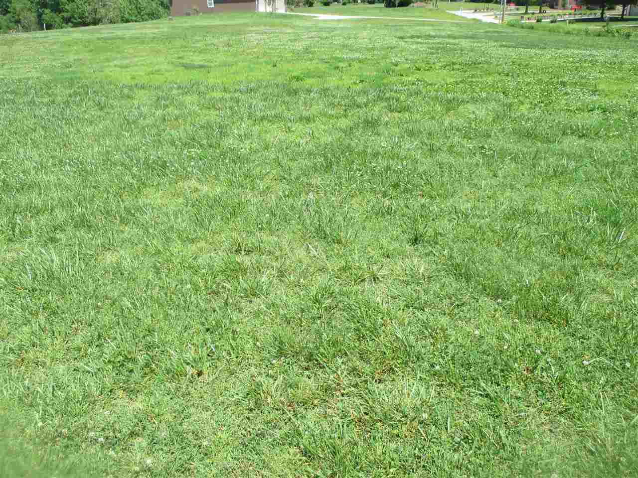 8920 Barter Road Mount Vernon, IN 47620 - Photo 11 of 19 Gallery Image 11