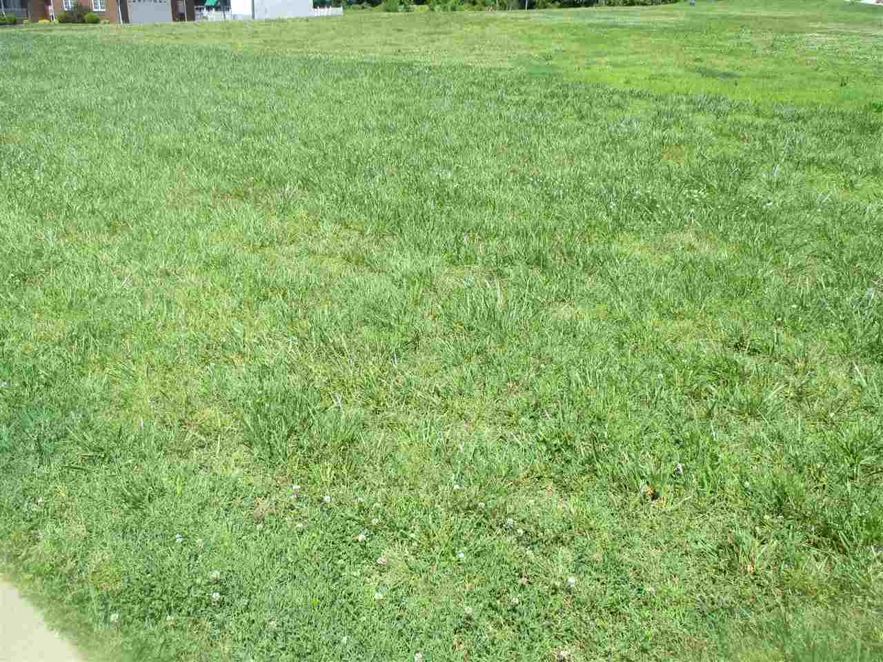 8920 Barter Road Mount Vernon, IN 47620 - Photo 12 of 19 Gallery Image 12