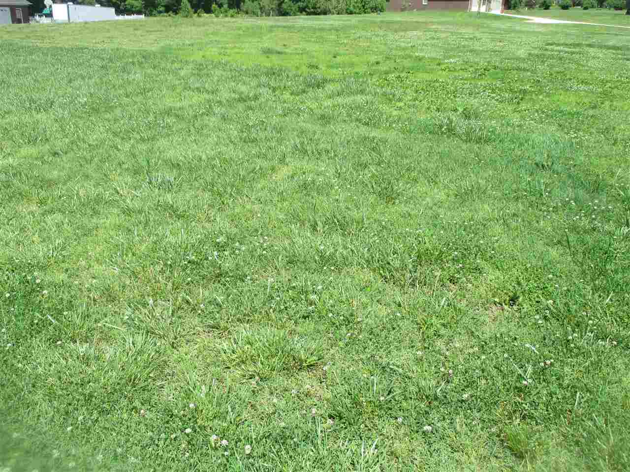 8920 Barter Road Mount Vernon, IN 47620 - Photo 14 of 19 Gallery Image 14