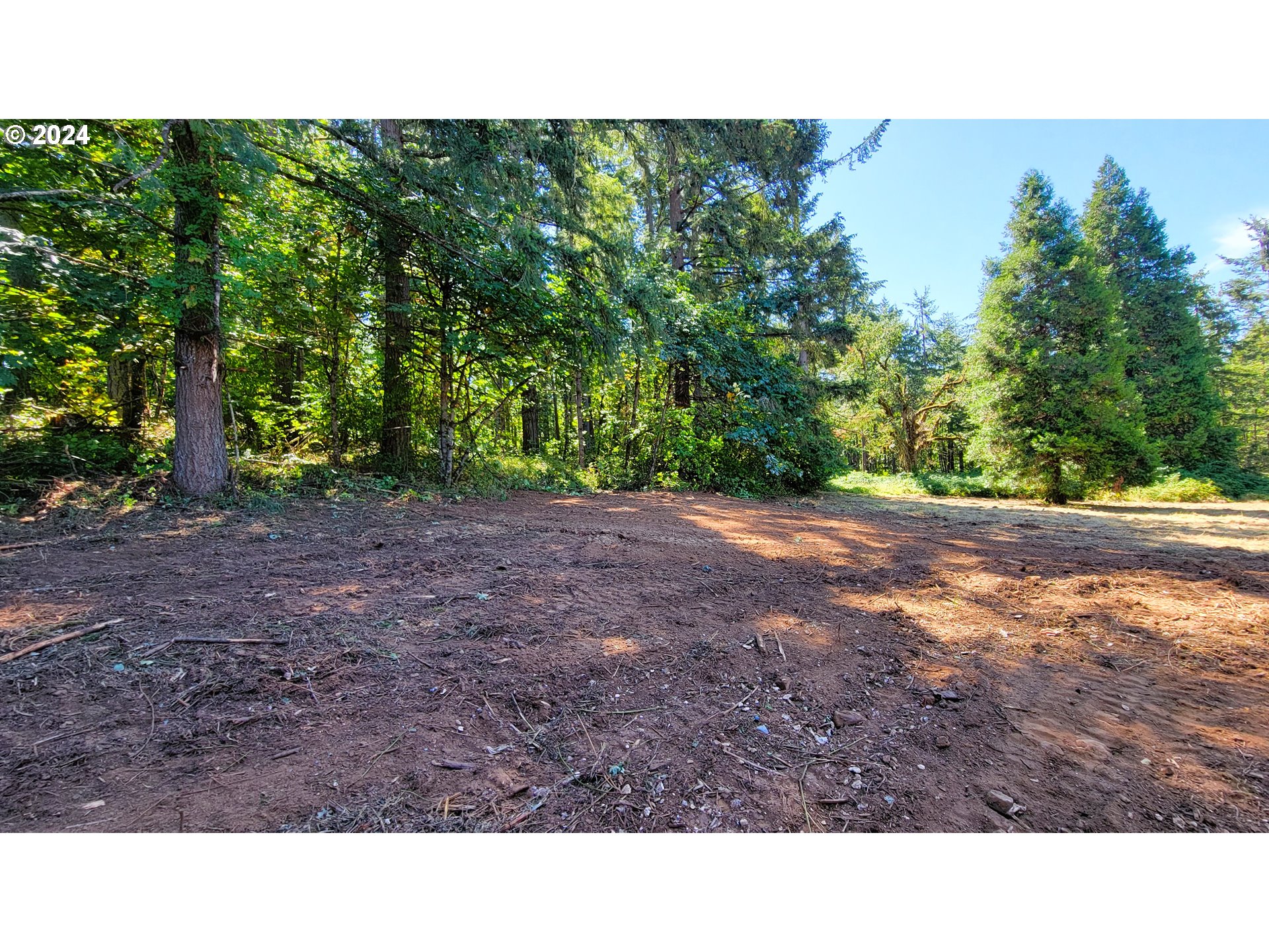 82578 Sprague Road Dexter, OR 97431 - Photo 14 of 15 a open area with trees in the background