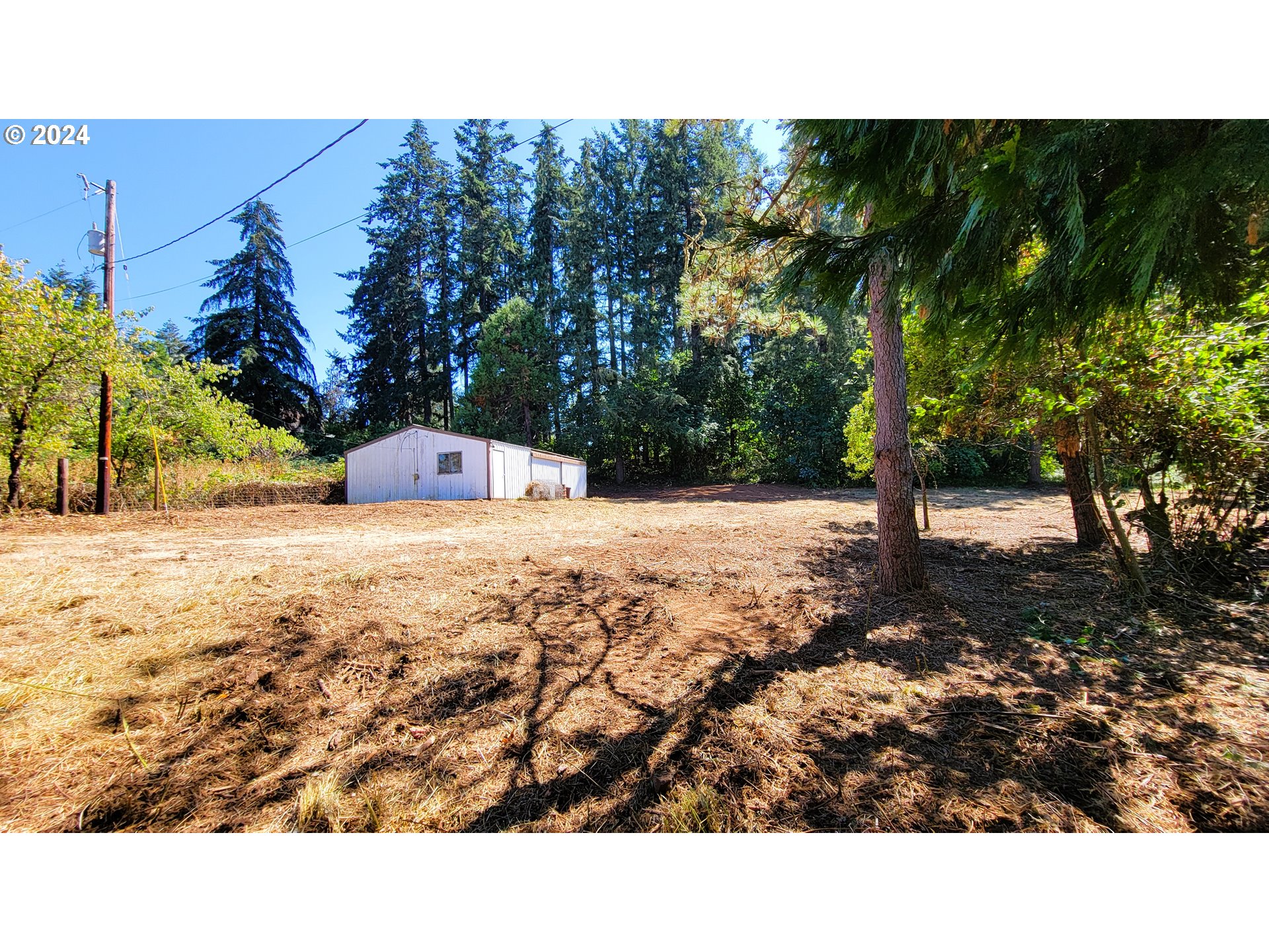 82578 Sprague Road Dexter, OR 97431 - Photo 4 of 15 a view of open area covered with trees