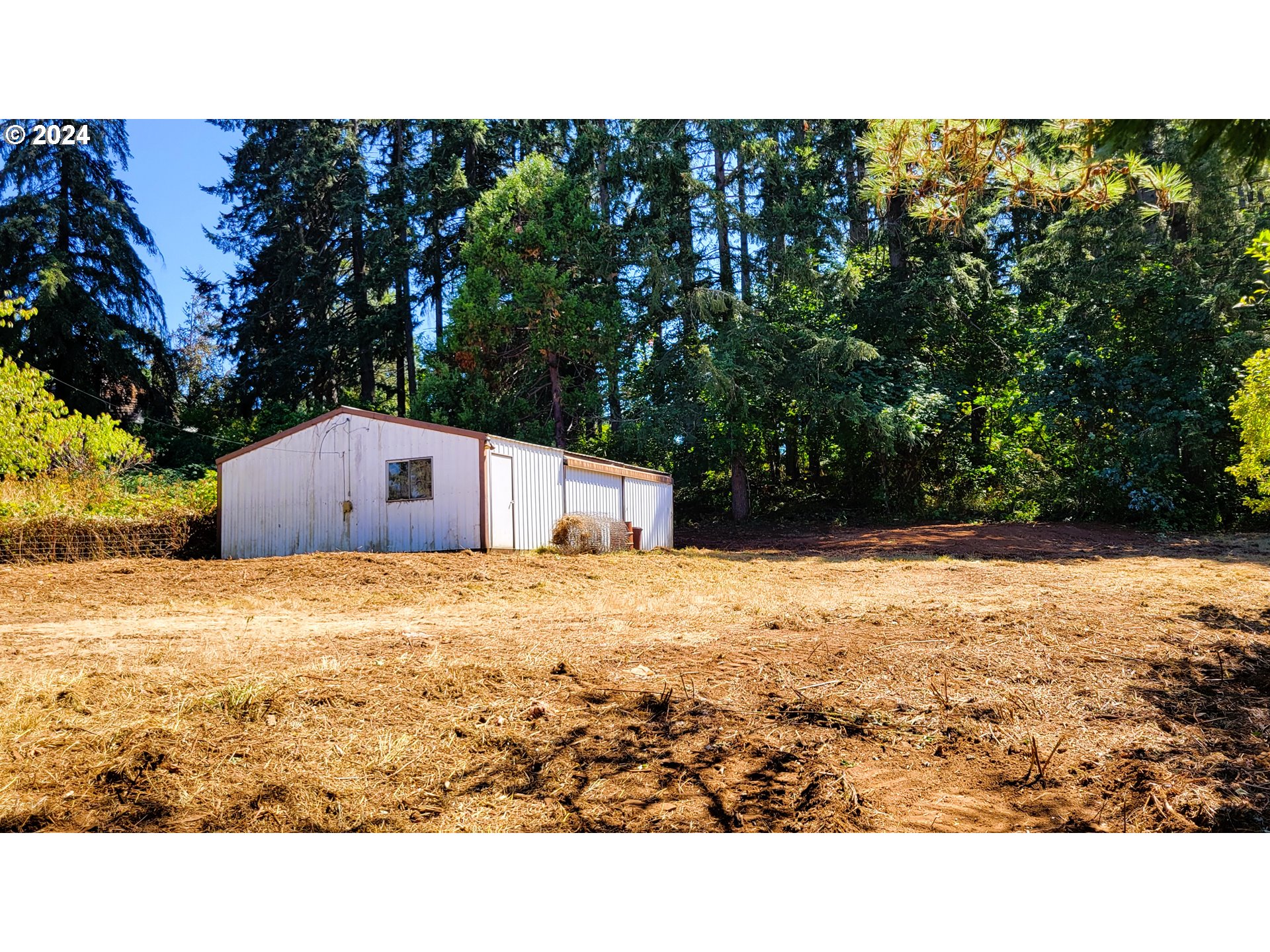82578 Sprague Road Dexter, OR 97431 - Photo 5 of 15