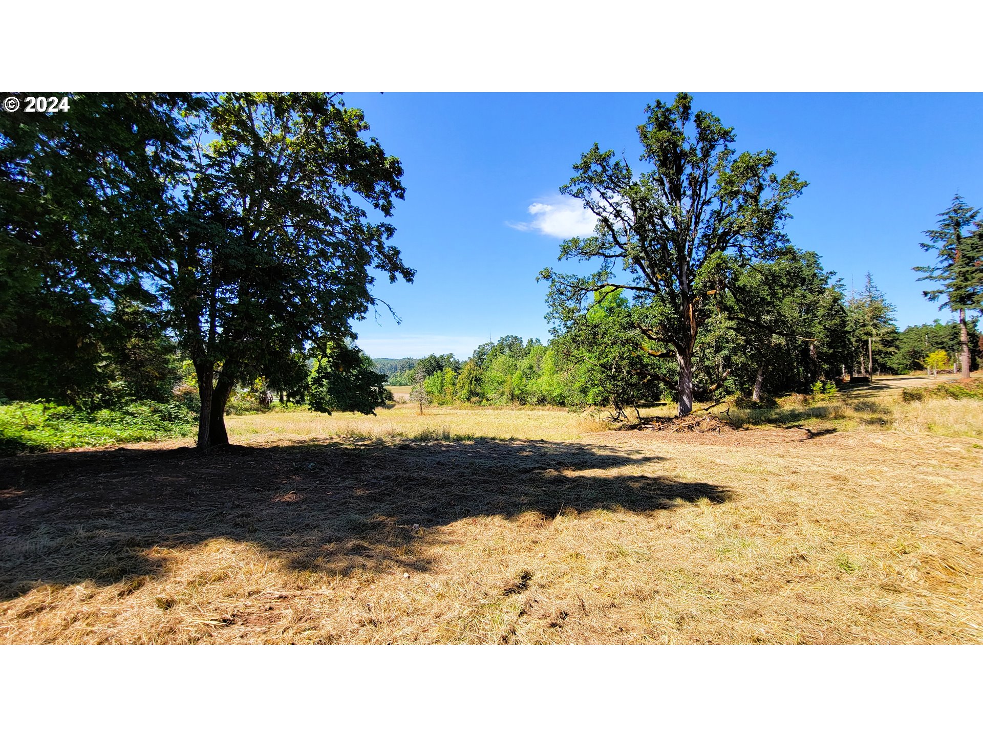 82578 Sprague Road Dexter, OR 97431 - Photo 8 of 15 a outdoor view