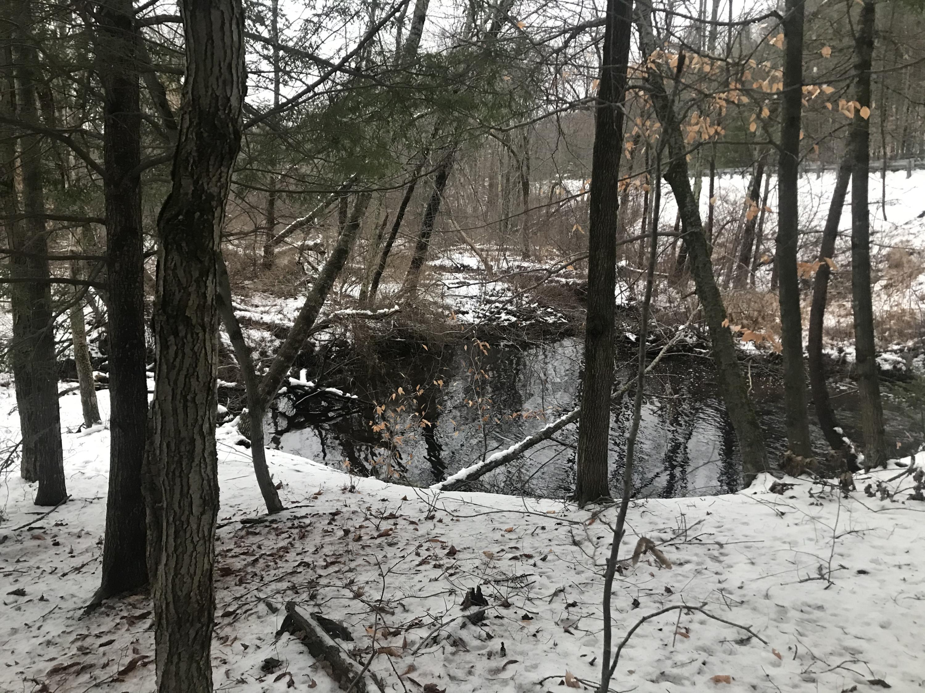 0 Gardiner Road Wales, ME 04280 - Photo 10 of 10 Small intermitent pond
