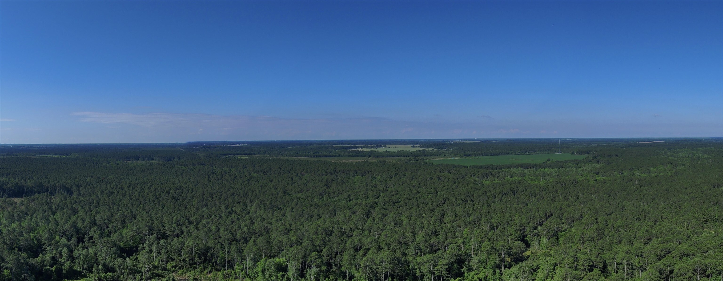 87 County Road 87 Elberta, AL 36530 - Photo 44 of 66