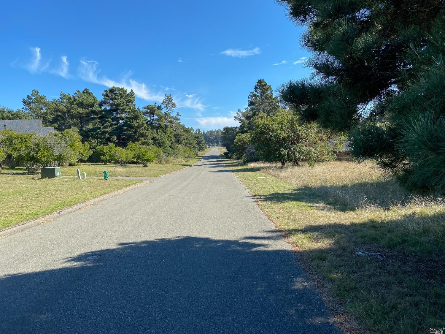 41179 Deer Trail The Sea Ranch, CA 95497 - Photo 11 of 30 Looking south with the lot on the right.