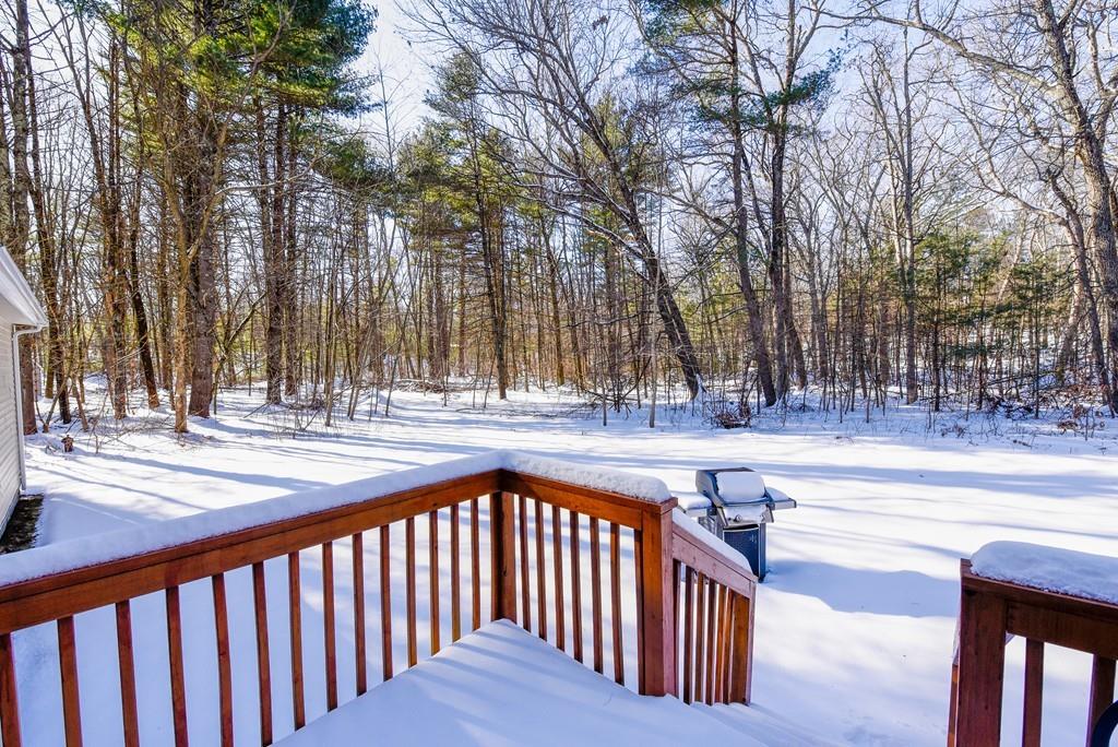624 Boston Road Groton, MA 01450 - Photo 21 of 25 a view of street with trees and trees
