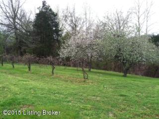 9503 Grayson Springs Road Clarkson, KY 42726 - Photo 5 of 19 3