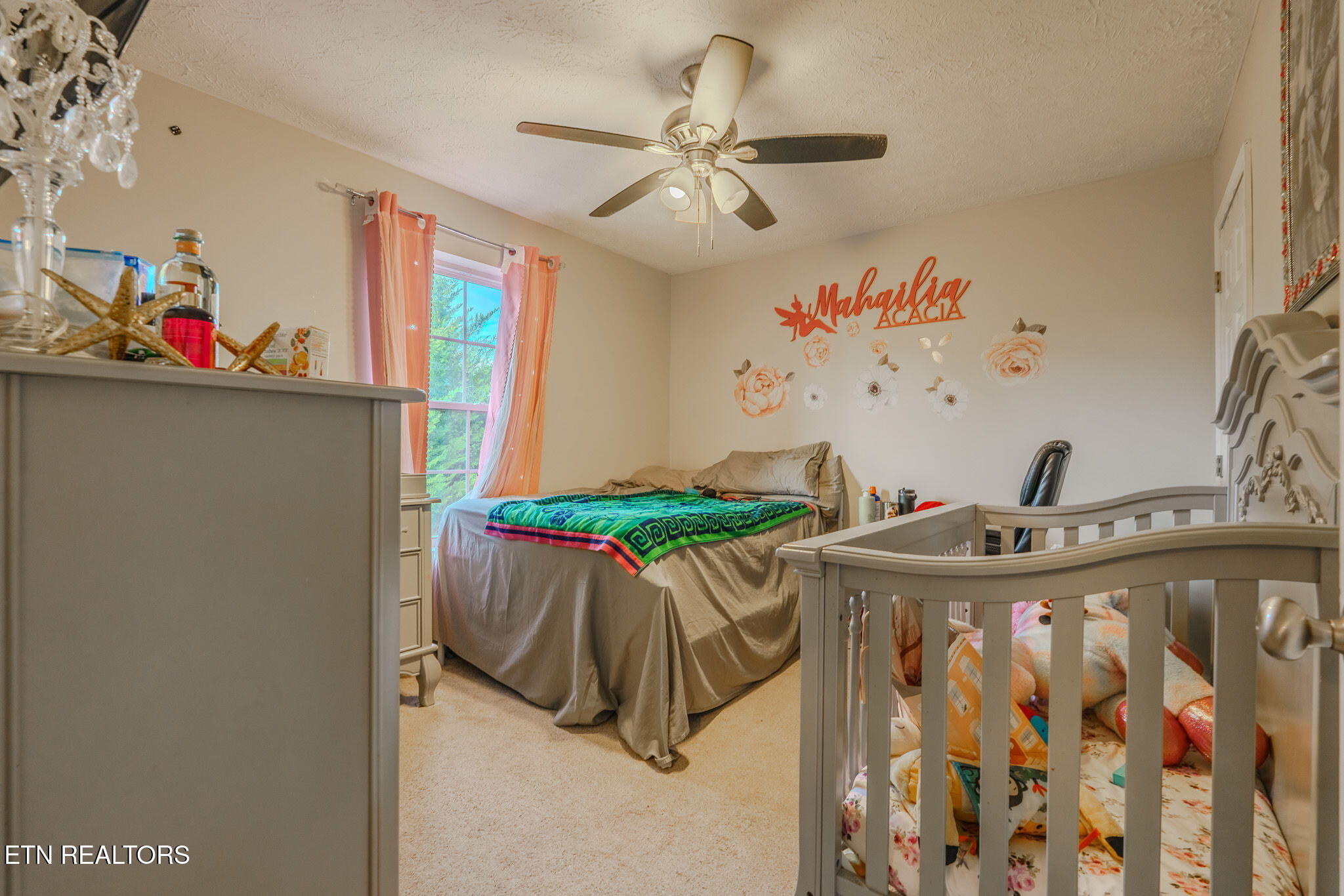 1409 Snapp Road Sevierville, TN 37862 - Photo 7 of 25 4-web-or-mls-_DSC6773-HDR