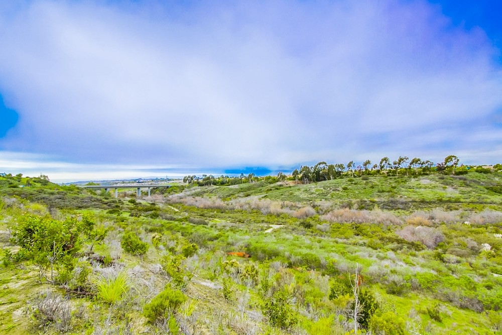 13368 Sunshine Path San Diego, CA 92129 - Photo 25 of 25