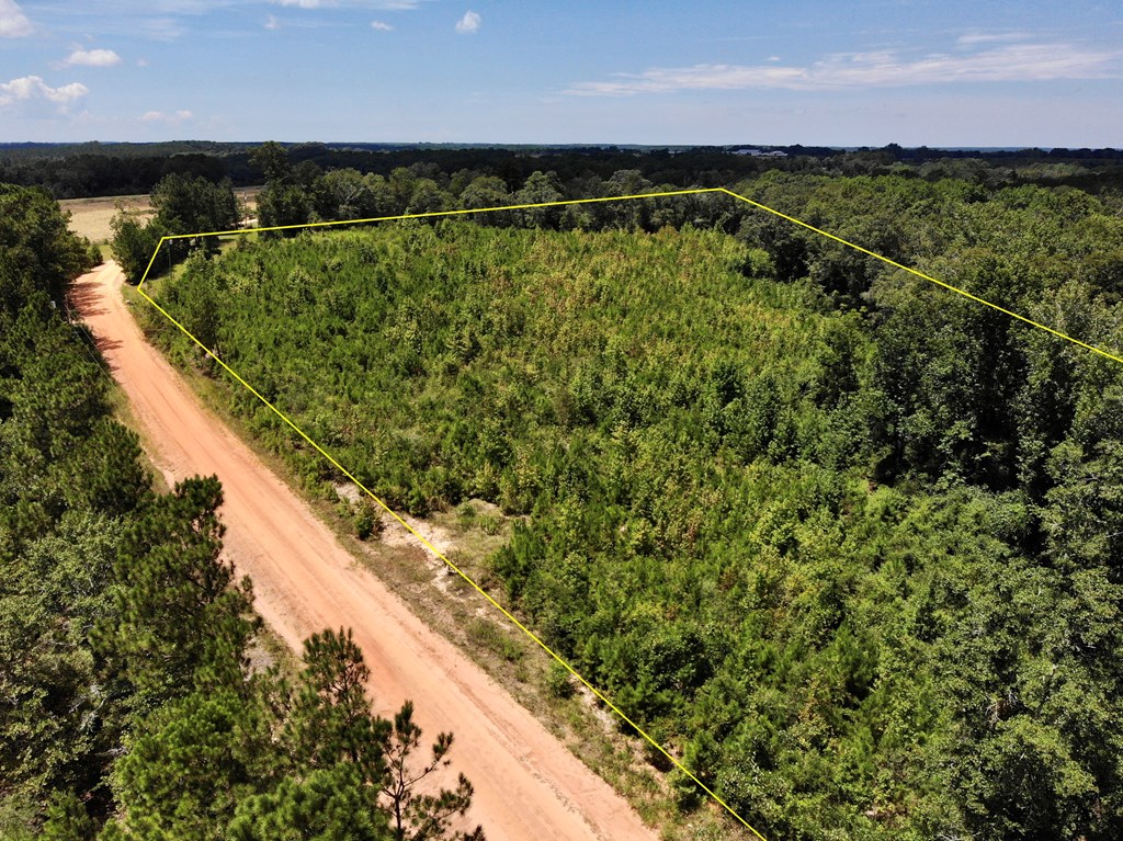 5-acres Old Elba Road Coffee Springs, AL 36318 - Photo 16 of 18