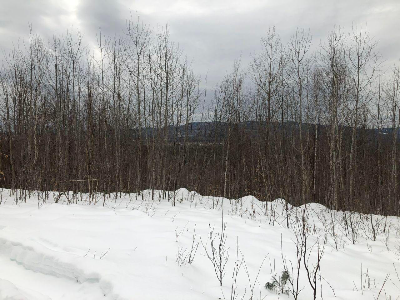 9 Green Hill Road Dixfield, ME 04224 - Photo 12 of 34 lot 9