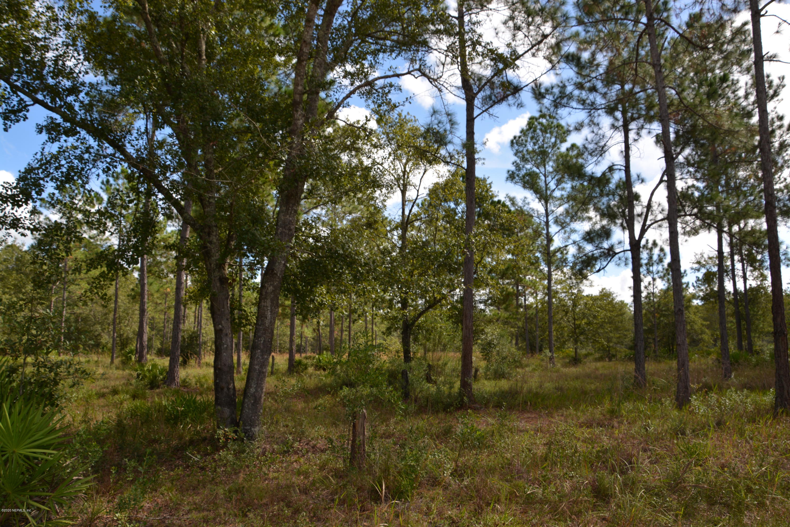 4438 Bondarenko Road Keystone Heights, FL 32656 - Photo 1 of 4 DSC_0001